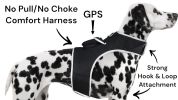 Inexpensive Dog Locator Device Waterproof + Perimeter Fencing Settings Size:XXL